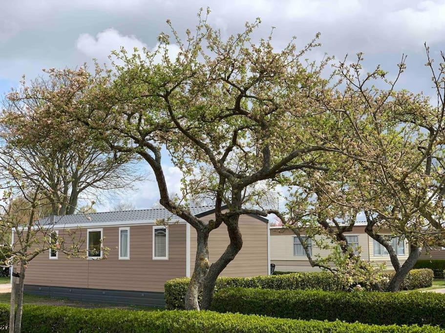 Gezellig Chalet In Het Mooie Zeeland - Oostkapelle Bagian luar foto